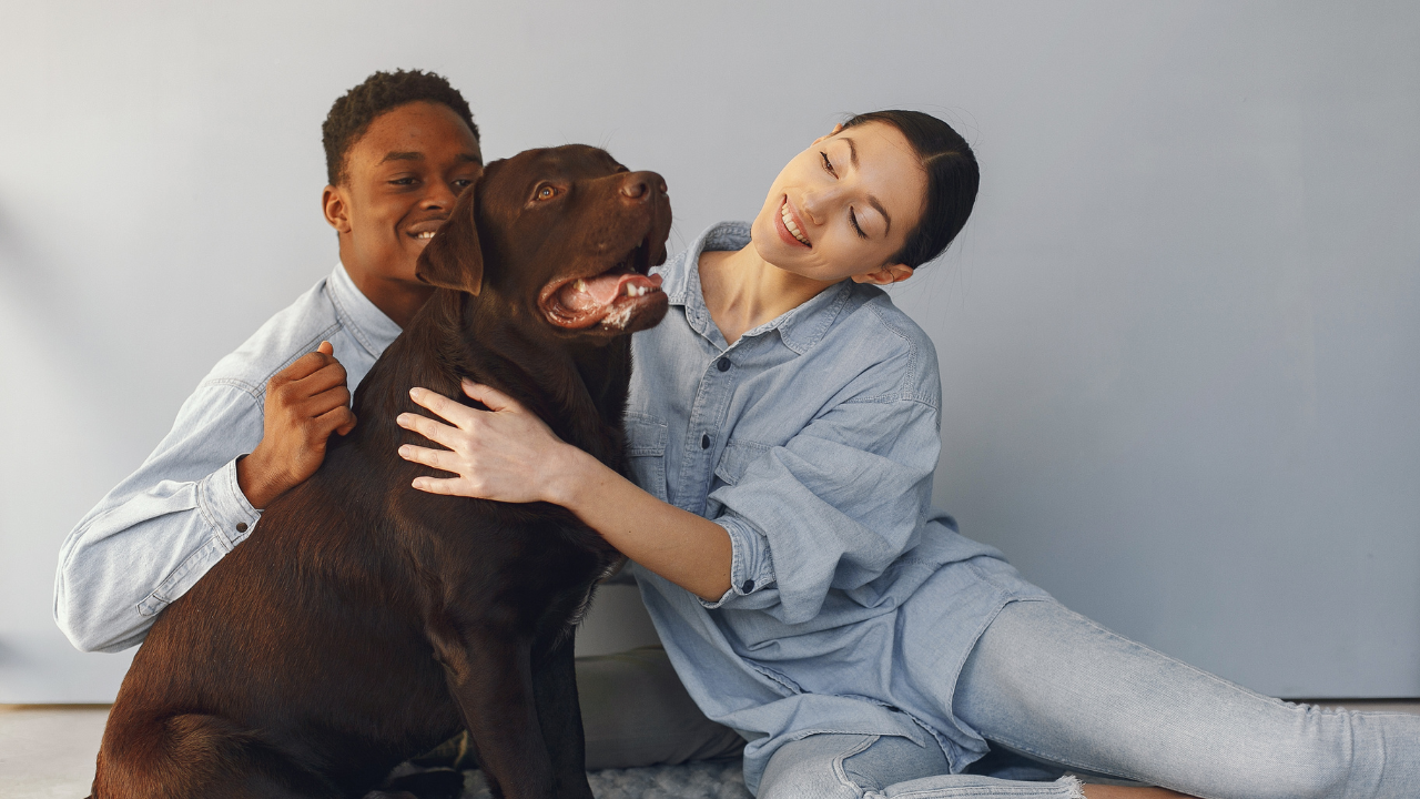 Can We Bring Our Pet to Couples Rehab?